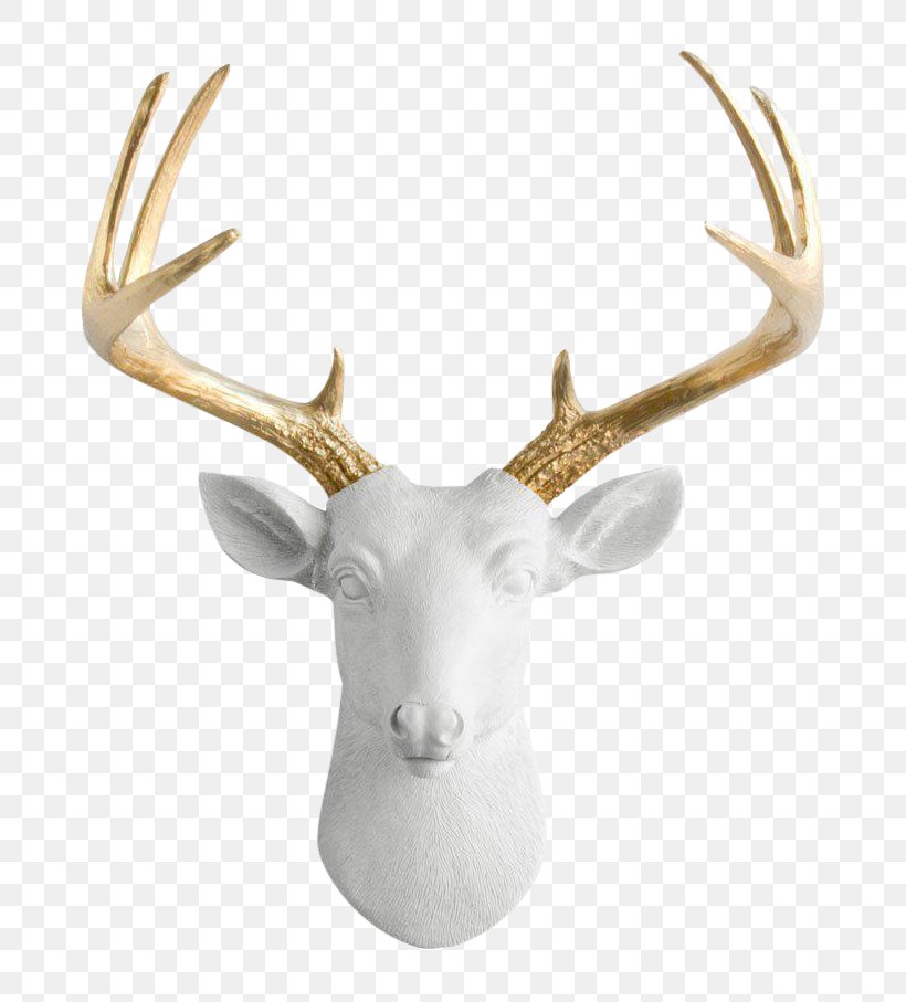 White-tailed Deer Moose Antler Taxidermy, PNG, 751x907px, Deer, Animal, Antler, Art, Bust Download Free