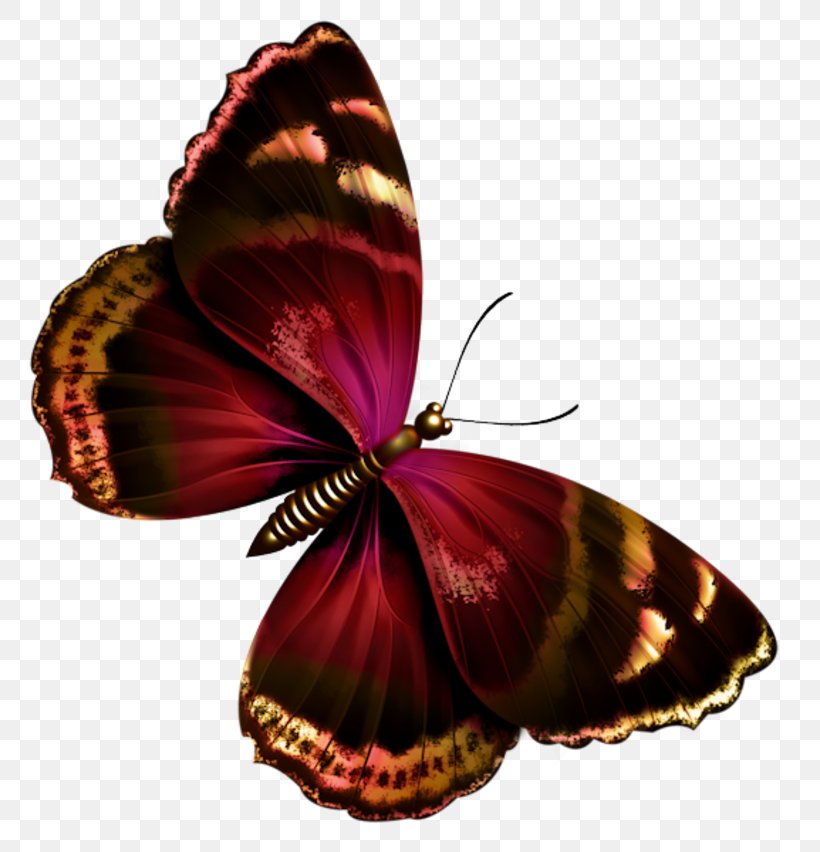 Butterfly Papillon Dog Clip Art, PNG, 800x852px, Butterfly, Arthropod, Brush Footed Butterfly, Butterflies And Moths, Drawing Download Free