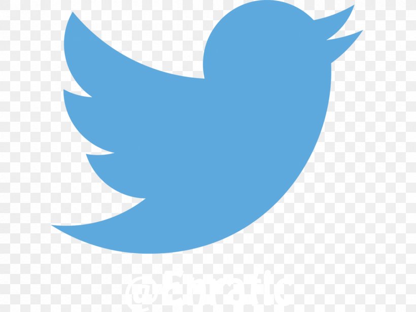 Logo Social Media Marketing University Of Ottawa Brand, PNG, 1200x900px, Logo, Beak, Bird, Brand, Business Download Free