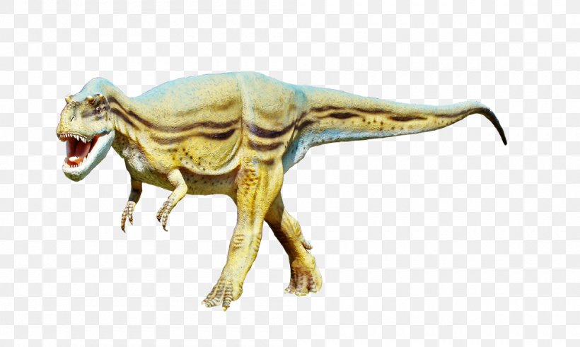 Velociraptor Tyrannosaurus Dinosaur, PNG, 1000x600px, Velociraptor, Carnivore, Carnosauria, Dinosaur, Extinction Download Free