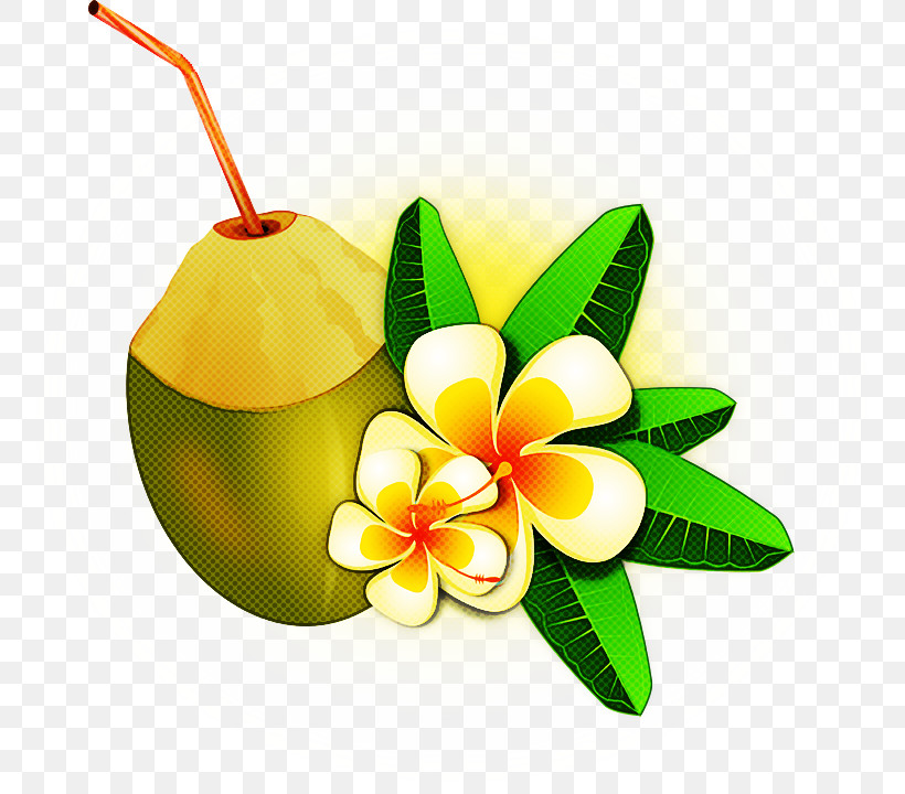 Coconut, PNG, 773x720px, Cartoon, Black And White, Coconut, Drawing, Painting Download Free