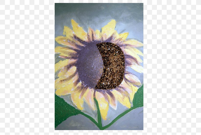 Common Sunflower Sunflower Seed Daisy Family Violet, PNG, 750x550px, Common Sunflower, Common Daisy, Daisy Family, Flower, Flowering Plant Download Free