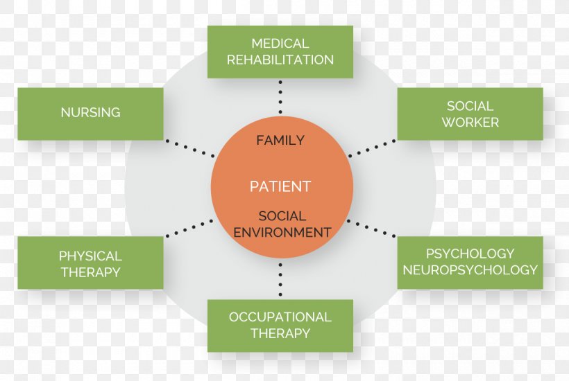 Institut Guttmann Qualitat Assistencial Hospital Patient, PNG, 1200x805px, Institut Guttmann, Brand, Communication, Diagram, Function Download Free