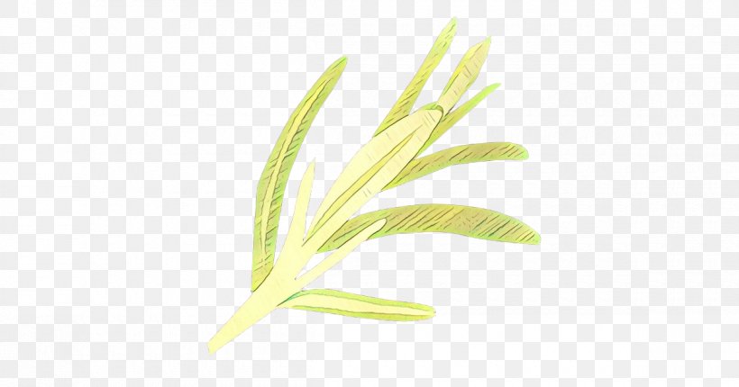 Leaf Plant Grass Yellow Grass Family, PNG, 1200x630px, Cartoon, Elymus Repens, Flower, Flowering Plant, Grass Download Free