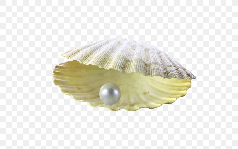 Pearl Powder Seashell Brochure, PNG, 658x512px, Pearl, Brochure, Clam, Clams Oysters Mussels And Scallops, Cockle Download Free