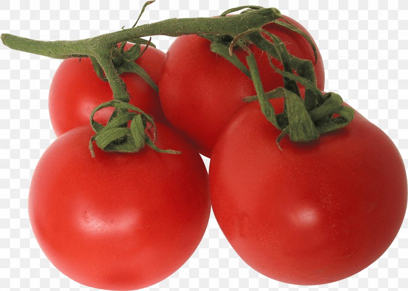 Tomato Vegetable Clip Art, PNG, 2476x1770px, Tomato, Apple, Berry, Brassica Oleracea, Bush Tomato Download Free