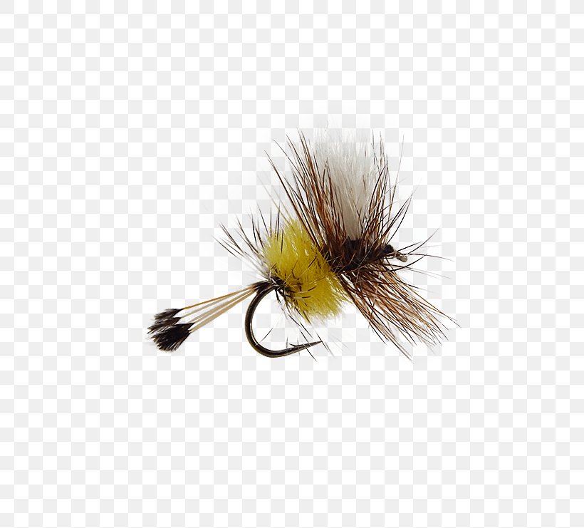 Artificial Fly Hair Fly Fishing Insect, PNG, 555x741px, Fly, Airport, Artificial Fly, Cdc, Celebrity Download Free