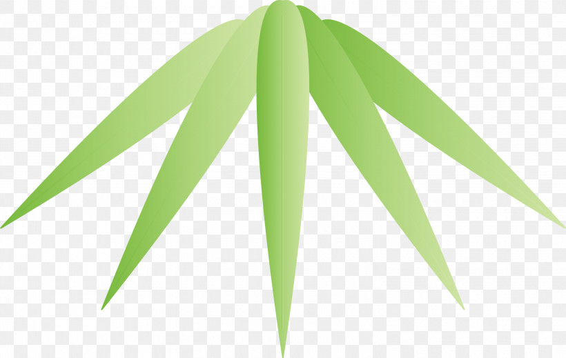 Bamboo Leaf, PNG, 3000x1902px, Bamboo, Flower, Grass, Green, Leaf Download Free