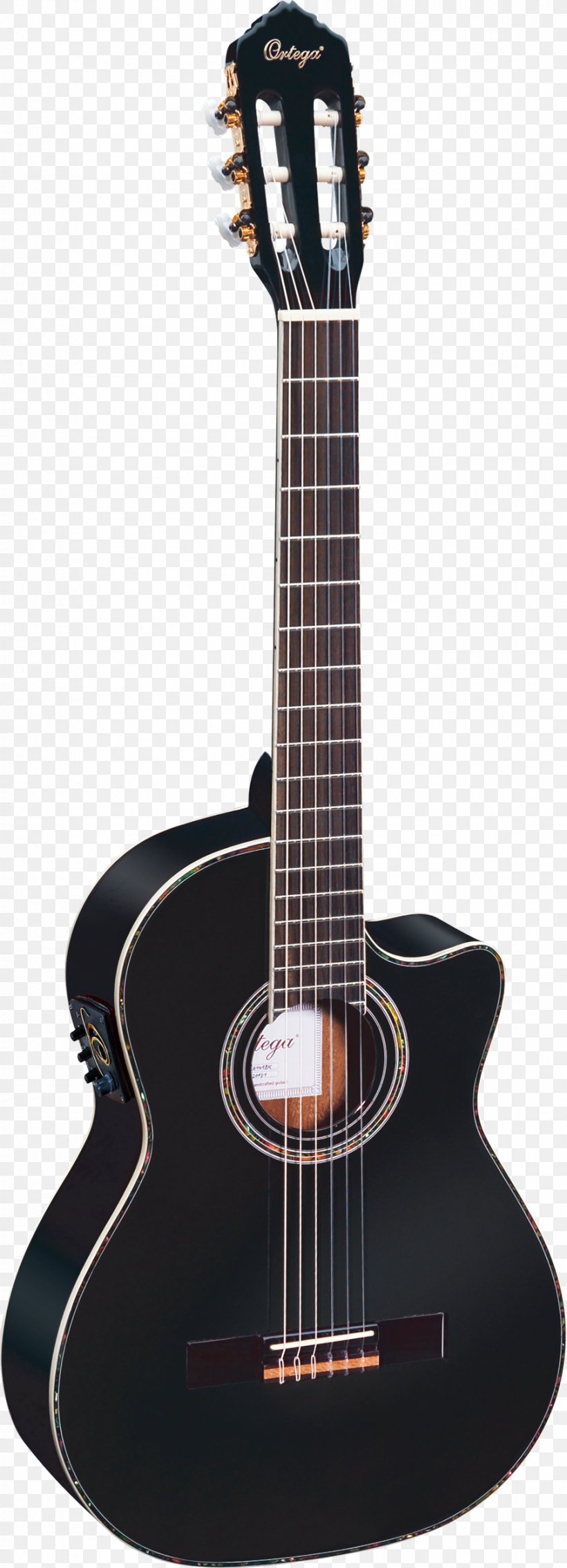 Twelve-string Guitar Acoustic Guitar Acoustic-electric Guitar, PNG, 904x2500px, Watercolor, Cartoon, Flower, Frame, Heart Download Free
