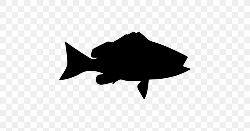 Fish Clip Art, PNG, 1200x630px, Fish, Atlantic Goliath Grouper, Black, Black And White, Photography Download Free