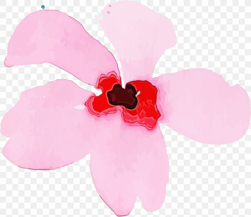 Cut Flowers Petal Herbaceous Plant Flower Pink M, PNG, 1060x915px, Watercolor, Biology, Cut Flowers, Flower, Herbaceous Plant Download Free