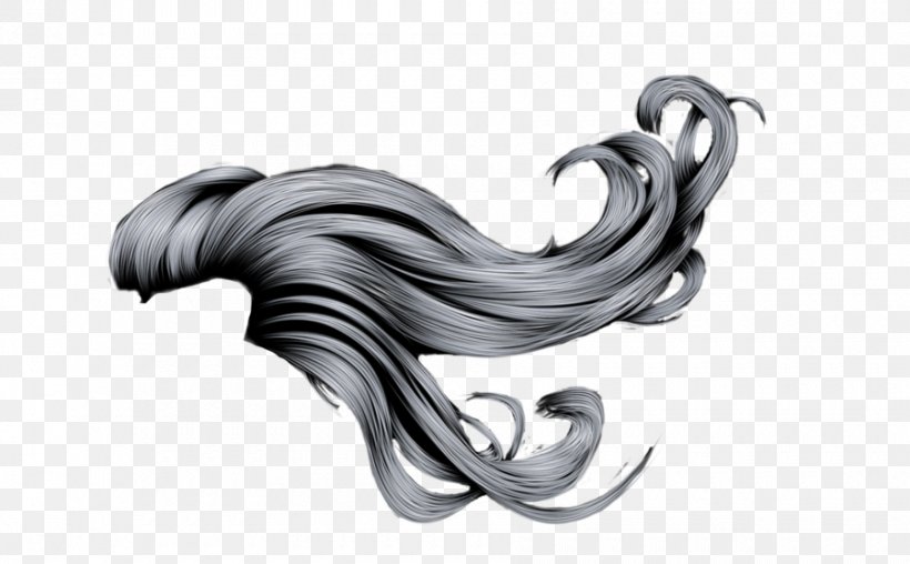Long Hair Canities, PNG, 900x558px, Hair, Beard, Body Jewelry, Canities, Hairstyle Download Free