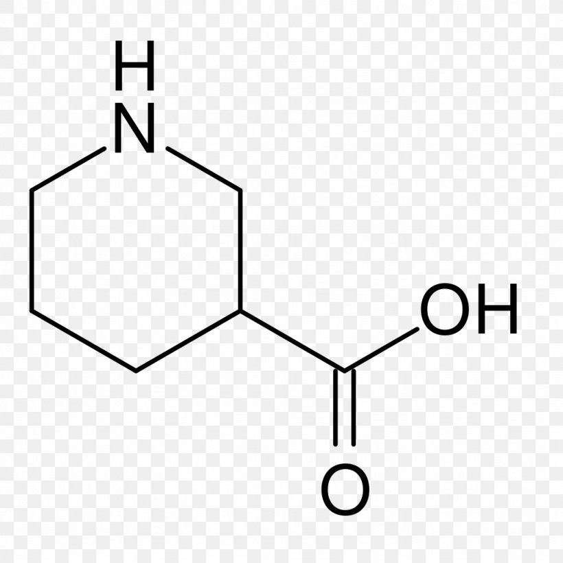 Oxalic Acid Proteinogenic Amino Acid Aspartic Acid, PNG, 1024x1024px, Oxalic Acid, Acid, Amino Acid, Area, Aspartic Acid Download Free