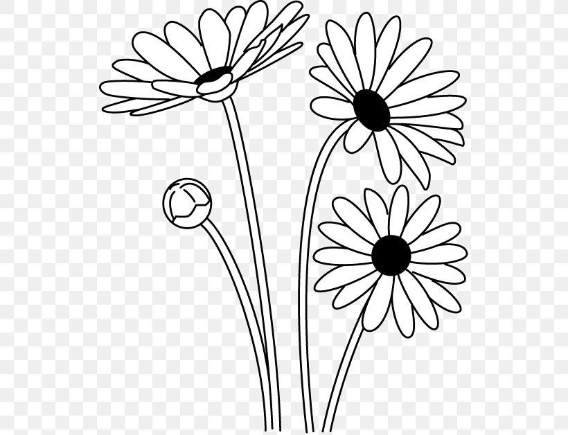 Oxeye Daisy Black And White Argyranthemum Frutescens Clip Art, PNG, 533x628px, Oxeye Daisy, Area, Argyranthemum Frutescens, Black, Black And White Download Free