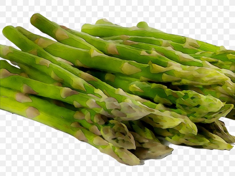 Asparagus Vegetarian Cuisine Vegetable Schnitzel Beslenme, PNG, 1239x929px, Asparagus, Beslenme, Calorie, Celtuce, Chinese Food Therapy Download Free