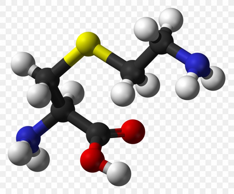 S-Aminoethyl-L-cysteine Amino Acid Acetylcysteine Cysteine Sulfinic Acid, PNG, 1200x996px, Cysteine, Acetyl Group, Acetylcysteine, Acid, Amino Acid Download Free