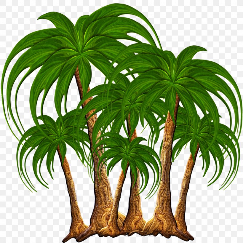 Tree Nature Clip Art, PNG, 1280x1280px, Tree, Arecales, Coconut, Color, Date Palm Download Free