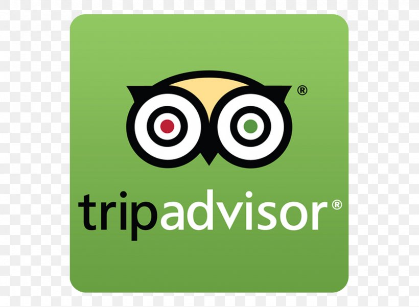 TripAdvisor Hotel Resort Restaurant Beach, PNG, 1536x1126px, Tripadvisor, Accommodation, Beach, Bird, Bird Of Prey Download Free