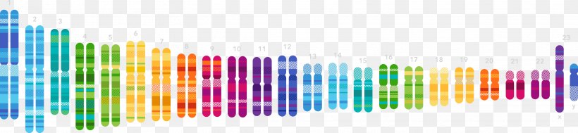 23andMe Genetic Testing Genetics Genomics DNA, PNG, 3114x719px, Genetic Testing, Ancestrycom Inc, Anne Wojcicki, Dna, Gene Download Free