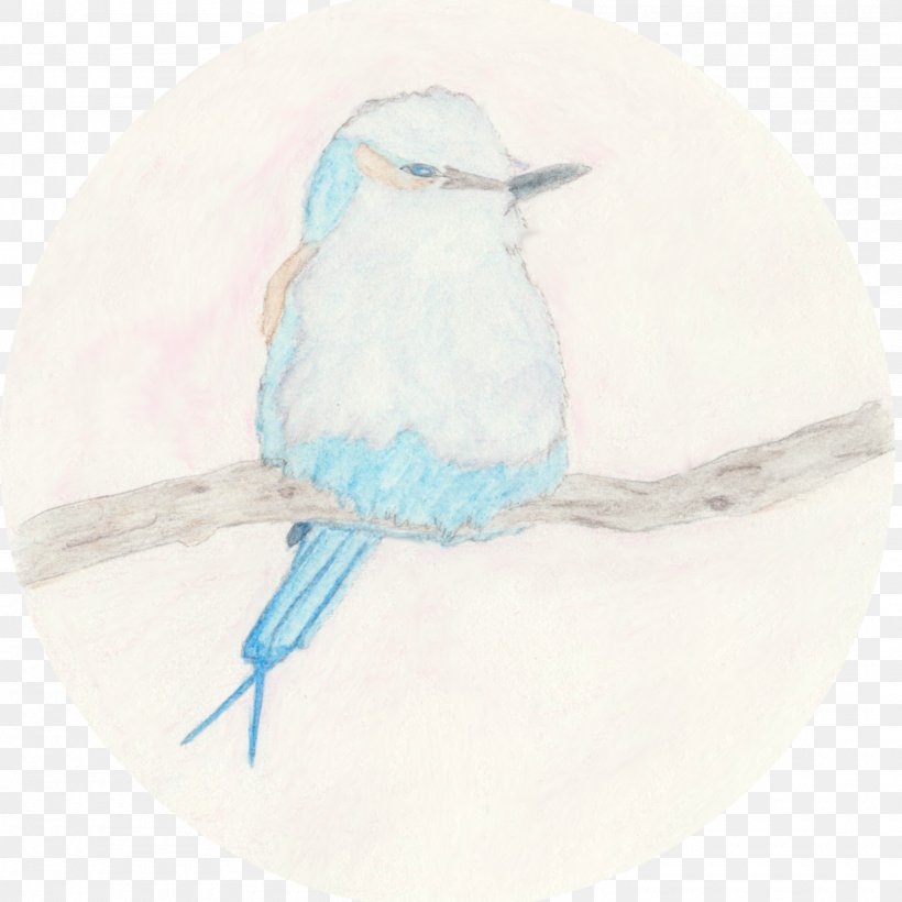 Bird Painting Drawing Beak Feather, PNG, 2000x2000px, Bird, Artwork, Beak, Bluebird, Drawing Download Free