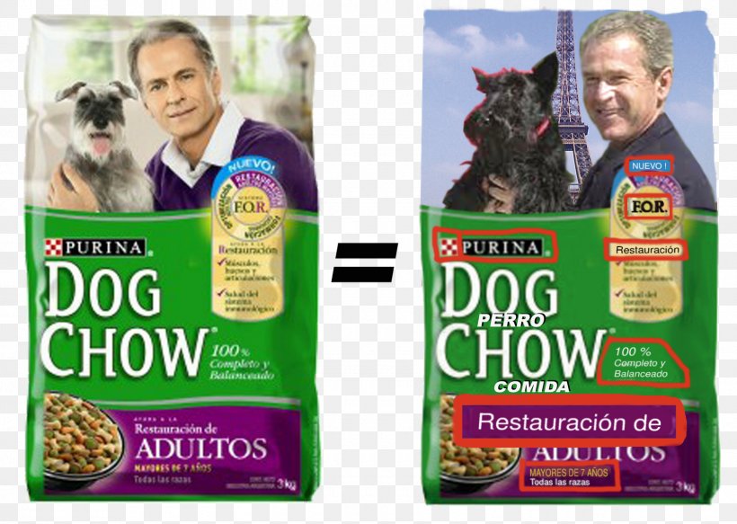 Dog Chow Dog Breed Dog Food Advertising, PNG, 1600x1139px, Dog Chow, Advertising, Brand, Breed, Dog Download Free