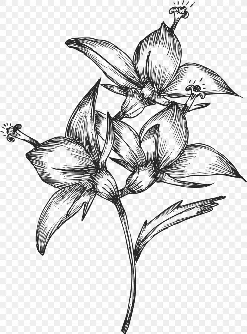 Drawing Flower, PNG, 1000x1349px, Drawing, Art, Artwork, Black And White, Branch Download Free