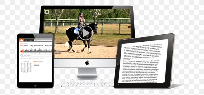 Horse Training Dressage Horse Training Computer Software, PNG, 906x426px, Horse, Brand, Coaching, Computer Software, Course Download Free