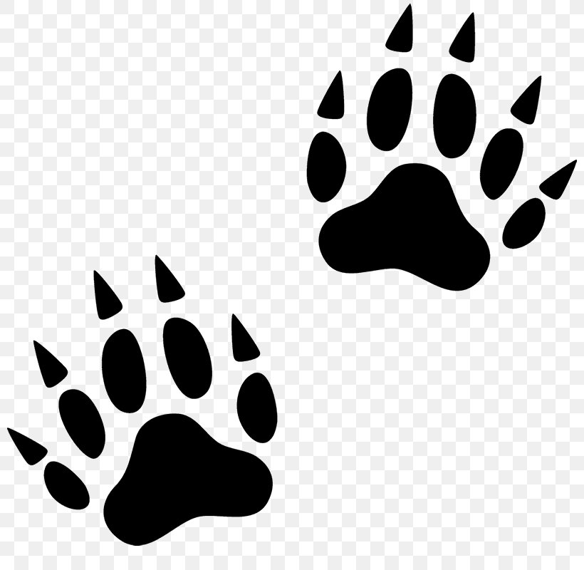 Paw Wolverine Cat Footprint Animal Track, PNG, 800x800px, Paw, Animal, Animal Track, Badger, Black Download Free