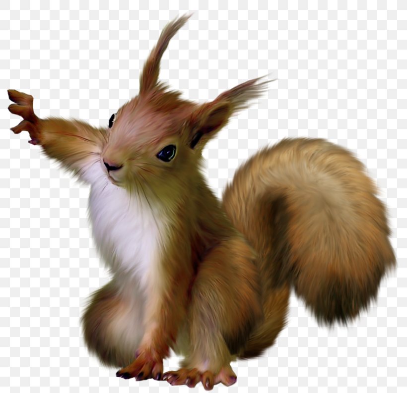 Squirrel Rodent Clip Art, PNG, 793x793px, Squirrel, Conker The Squirrel, Eastern Gray Squirrel, Fauna, Fur Download Free