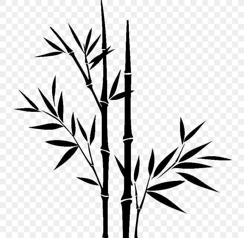 Tropical Woody Bamboos Sticker Paper Wall Decal, PNG, 800x800px, Tropical Woody Bamboos, Adhesive, Bamboo, Bamboo Musical Instruments, Black And White Download Free