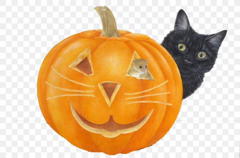 Black Cat Halloween Pumpkin Jack-o'-lantern, PNG, 831x547px, Cat, Art, Black Cat, Calabaza, Carnivoran Download Free
