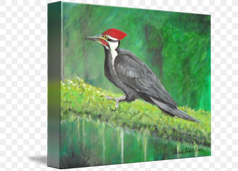 Woodpecker Painting Fauna Beak, PNG, 650x590px, Woodpecker, Beak, Bird, Fauna, Painting Download Free