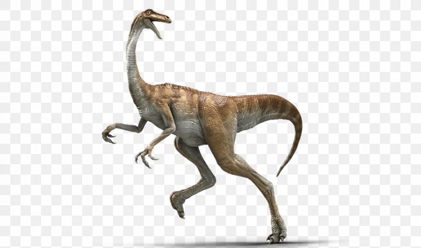 Gallimimus Velociraptor Baryonyx Parasaurolophus Jurassic Park, PNG, 915x540px, Gallimimus, Animal Figure, Apatosaurus, Baryonyx, Cretaceous Download Free