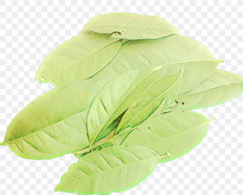 Green Leaf Background, PNG, 1280x1024px, Cartoon, Fashion Accessory, Feather, Glove, Green Download Free