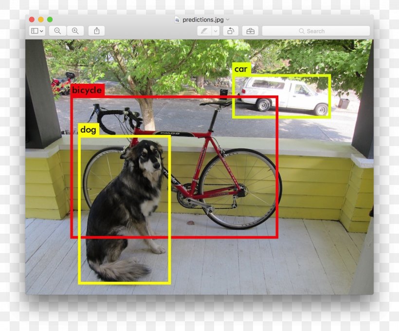 image detection machine learning