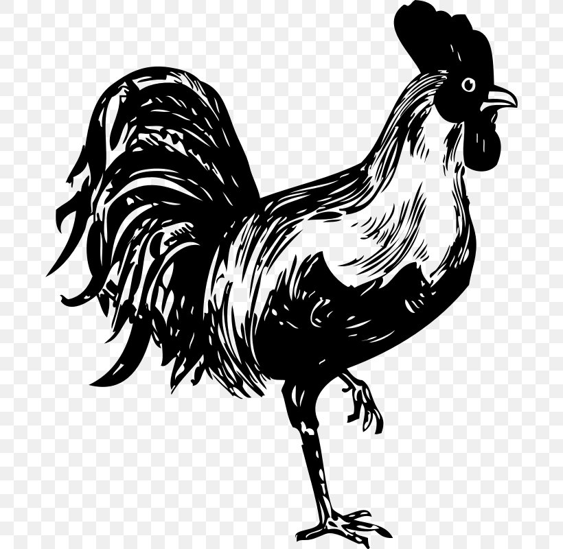 Rooster Stencil Chicken, PNG, 688x800px, Rooster, Art, Beak, Bird, Black And White Download Free