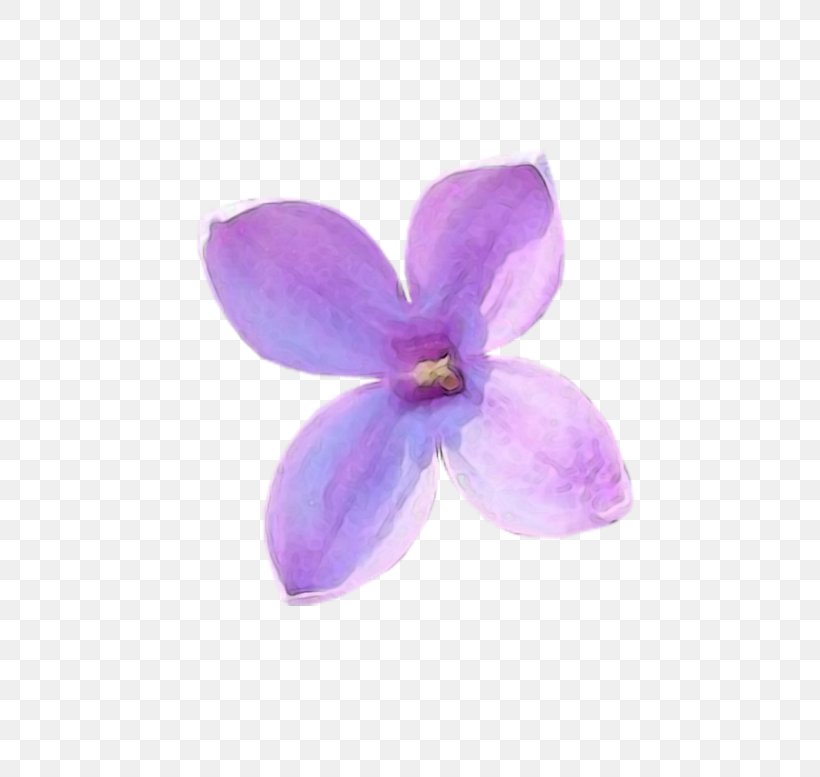 Lilac Petal Violet Flower Lilium, PNG, 800x777px, Lilac, Author, Flower, Lavender, Lilium Download Free