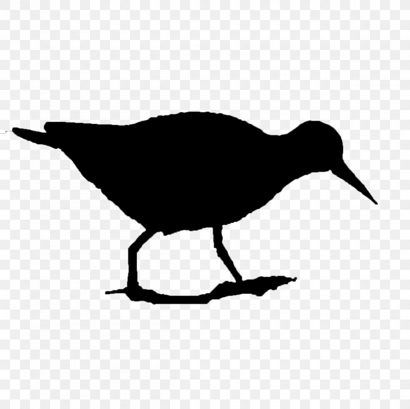 Clip Art Fauna Silhouette Beak, PNG, 1200x1199px, Fauna, Art, Beak, Bird, Charadriiformes Download Free