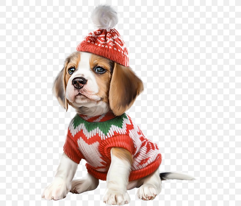Pug Beagle Puppy Cavalier King Charles Spaniel Dachshund, PNG, 543x699px, Pug, Basset Hound, Beagle, Bulldog, Canidae Download Free
