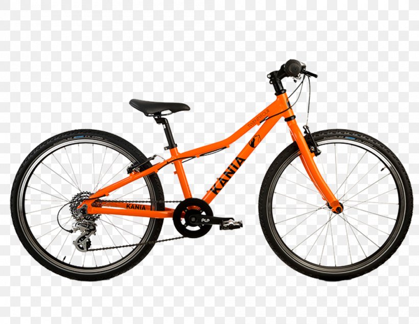 PYROBIKES Bicycle Cycling Essen Mountain Bike, PNG, 1000x774px, Pyrobikes, Bicycle, Bicycle Accessory, Bicycle Drivetrain Part, Bicycle Frame Download Free