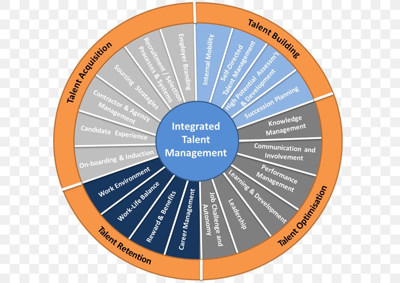 Talent Management Succession Planning Human Resource Performance Appraisal, PNG, 602x579px, Talent Management, Brand, Business, Career, Diagram Download Free