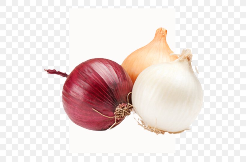 Yellow Onion Shallot French Onion Soup Vegetable Red Onion, PNG, 700x540px, Yellow Onion, Food, French Onion Soup, Fruit, Garlic Download Free