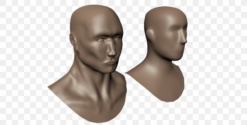 Chin Mannequin, PNG, 1600x815px, Chin, Head, Mannequin, Neck Download Free
