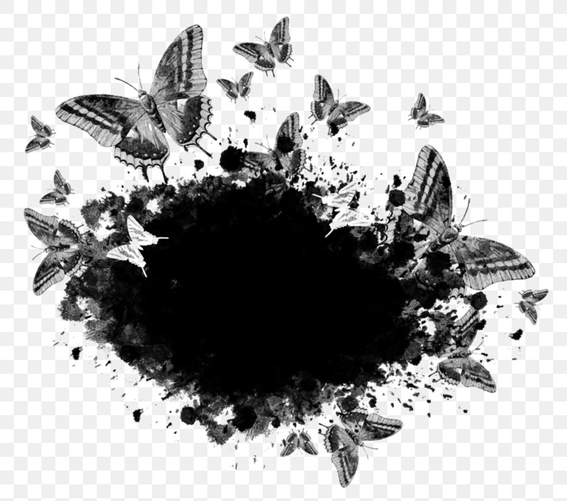 Digital Image Clip Art, PNG, 800x724px, Digital Image, Black And White, Butterfly, Information, Insect Download Free