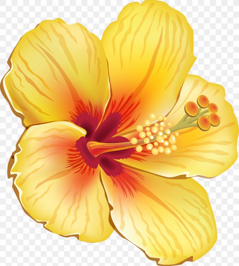 Hibiscus Coloring Pages PDF To Print - Coloringfolder.com | Flower coloring  pages, Hibiscus flower drawing, Flower drawing tumblr