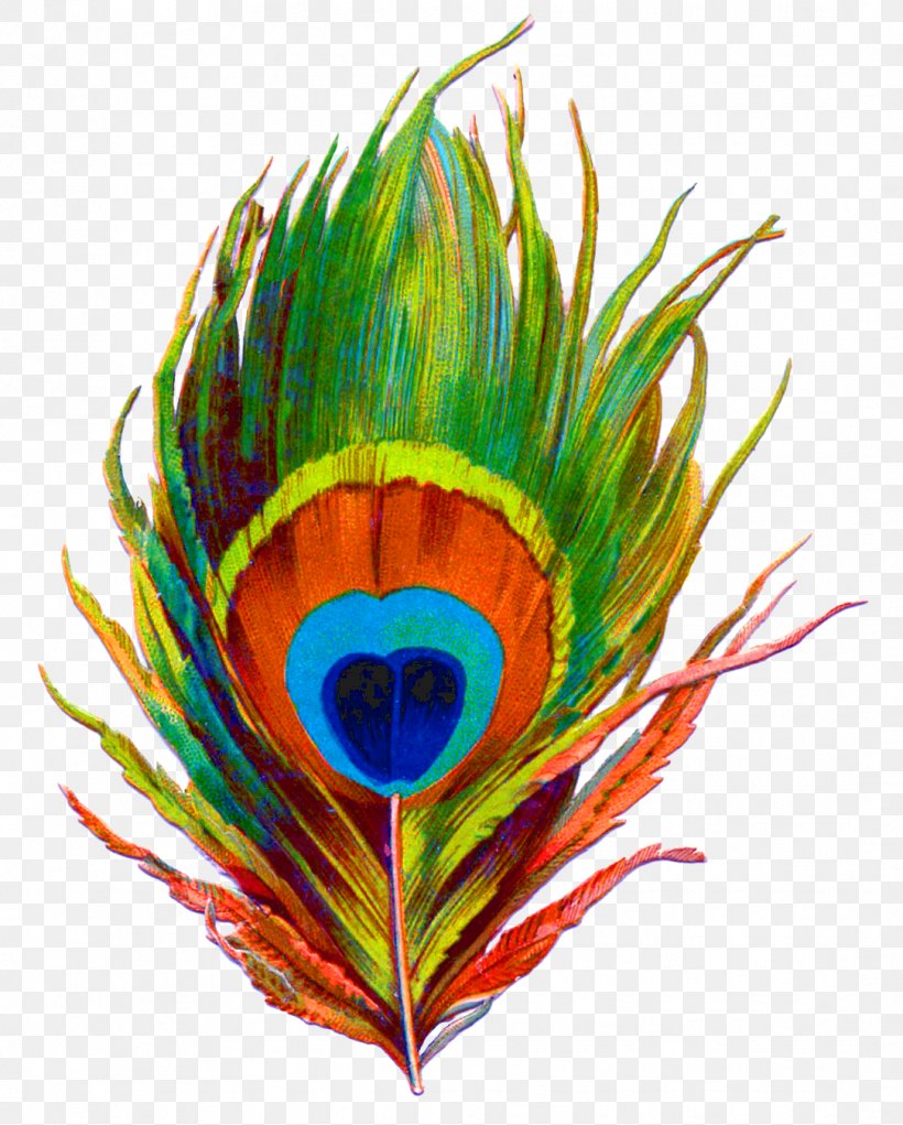 Krishna Paper Feather Bird Peafowl, PNG, 1084x1350px, Krishna, Art, Beak, Bird, Color Download Free
