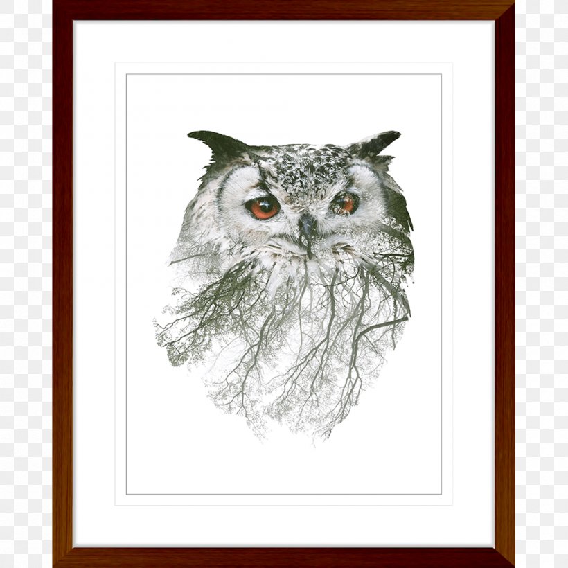 Owl Stock Photography Wall Decal, PNG, 1000x1000px, Owl, Art, Beak, Bird, Bird Of Prey Download Free