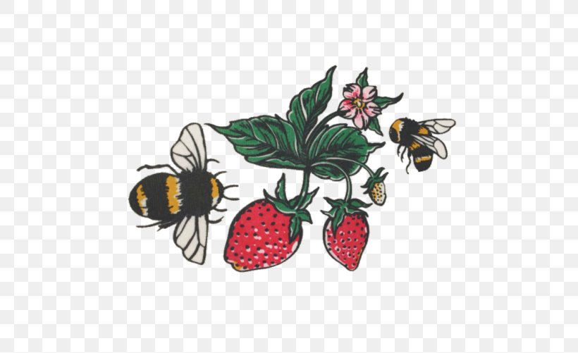 Strawberry Clip Art Insect Fruit Produce, PNG, 500x501px, Strawberry, Bee, Berry, Business, Butterfly Download Free