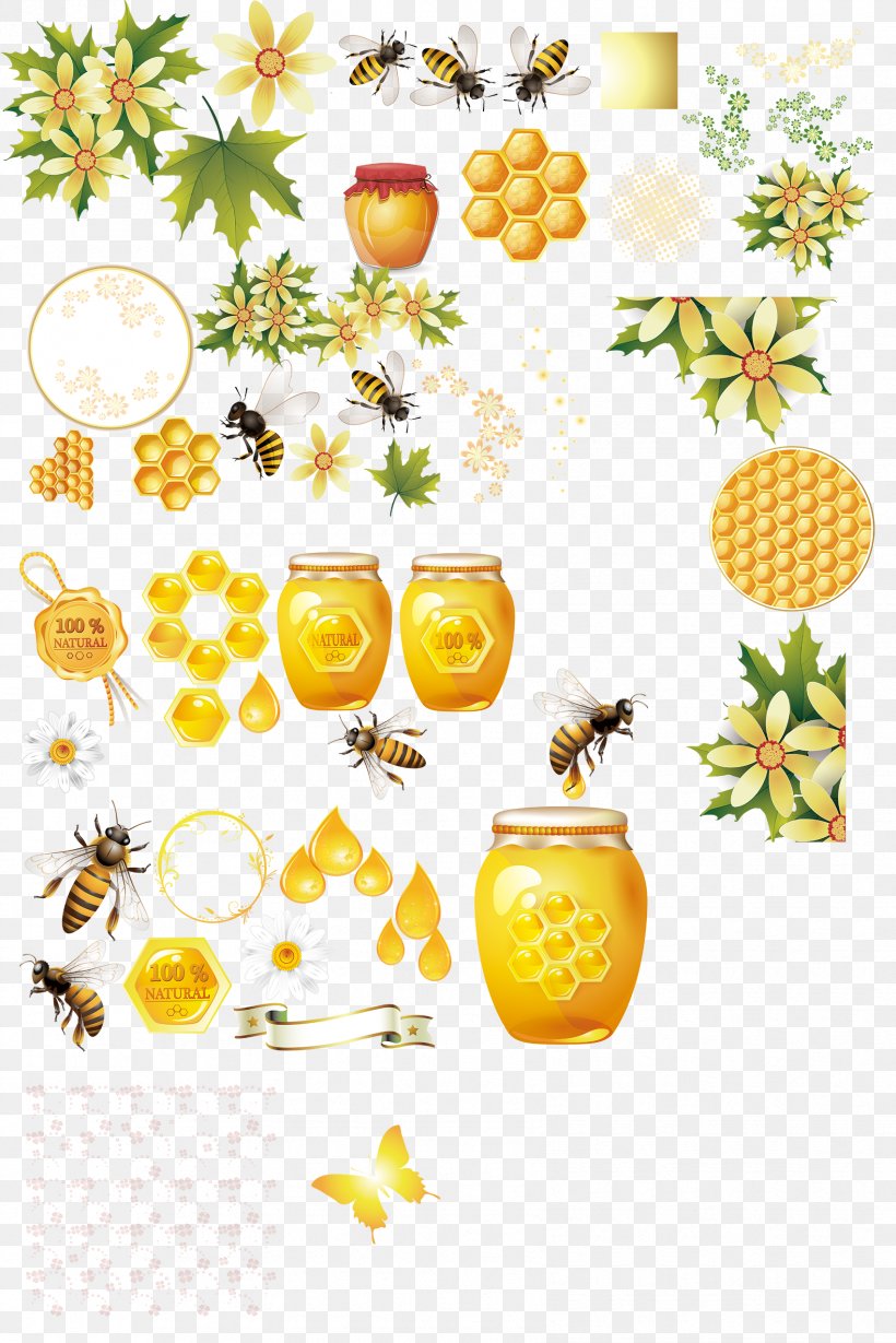 Bee Honeycomb Apis Florea, PNG, 1701x2551px, Bee, Branch, Citrus, Floral Design, Floristry Download Free