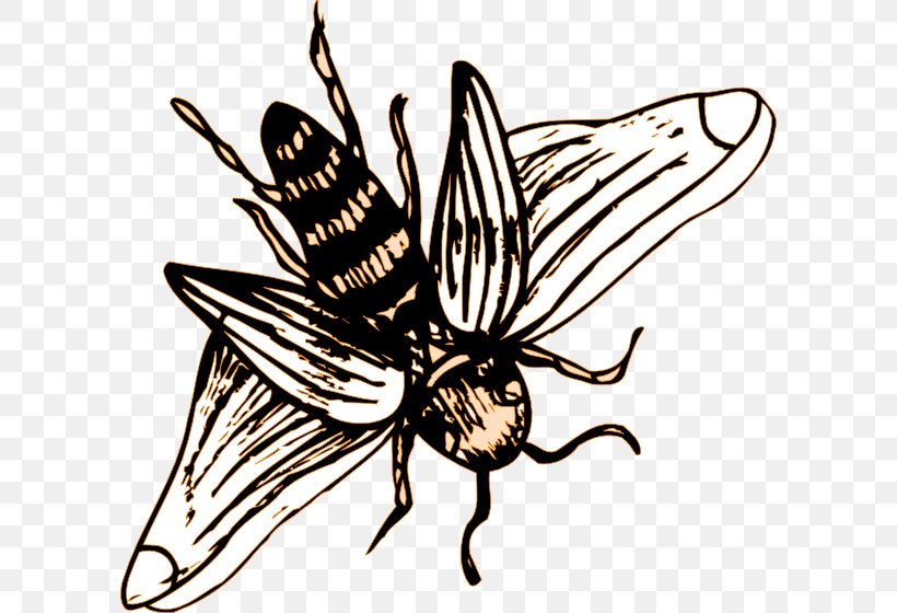 Drawing European Dark Bee Clip Art Apidae, PNG, 600x560px, Drawing, Apidae, Bee, Blackandwhite, Bumblebee Download Free